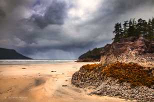 St. Josef Bay, Cape Scott-7779